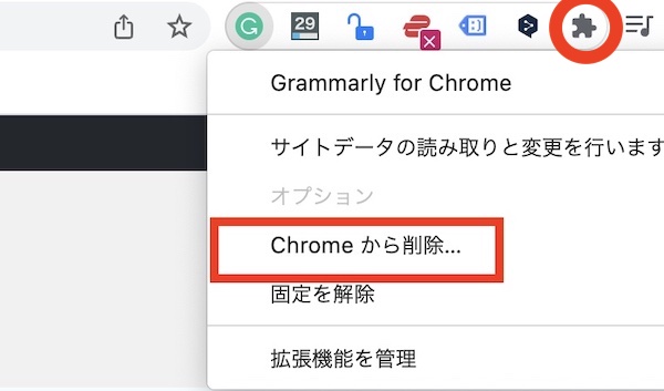無料 Grammarly グラマリー の使い方徹底解説 英文 文法添削ツール There Is No Magic