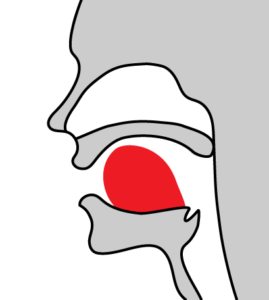 図解 英語の子音24個の発音のコツを全部解説 動画で学ぶ There Is No Magic