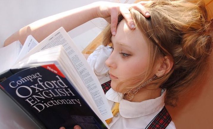 ielts how to study