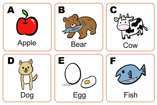 英単語の例