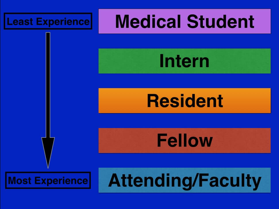 resident, fellow, attending physician