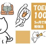 TOEFL iBT100点まで上げた対策法