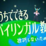 おうちでできるバイリンガル教育