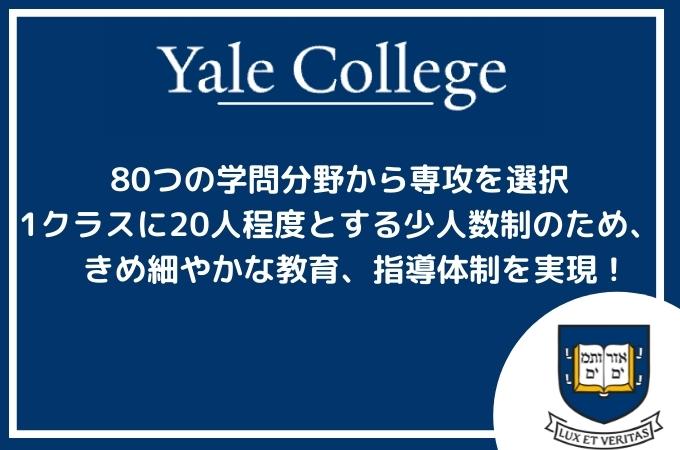 yale college