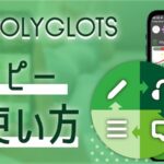 POLYGLOTS | レシピー（ポリグロッツ）の使い方