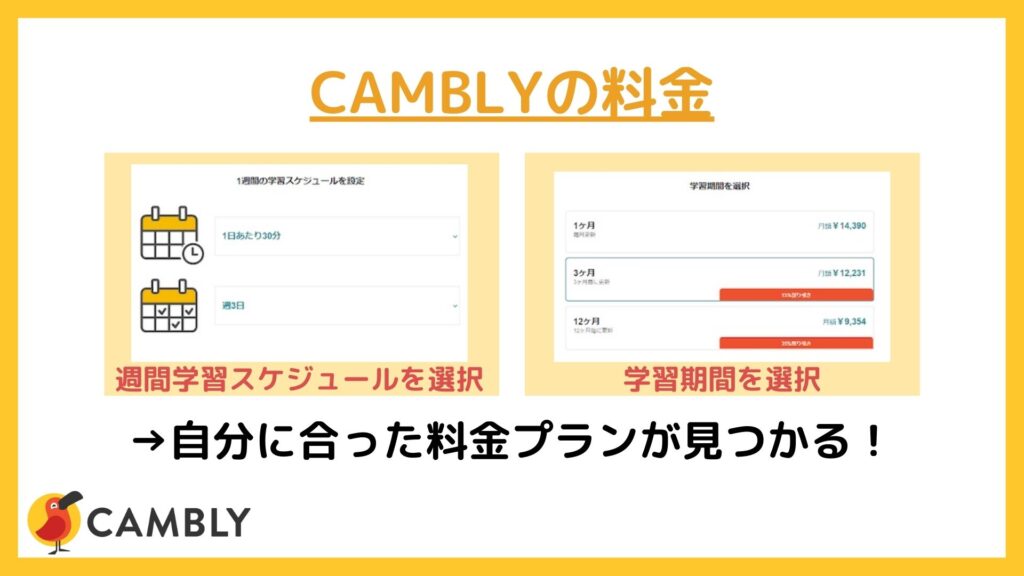 CAMBLYの料金