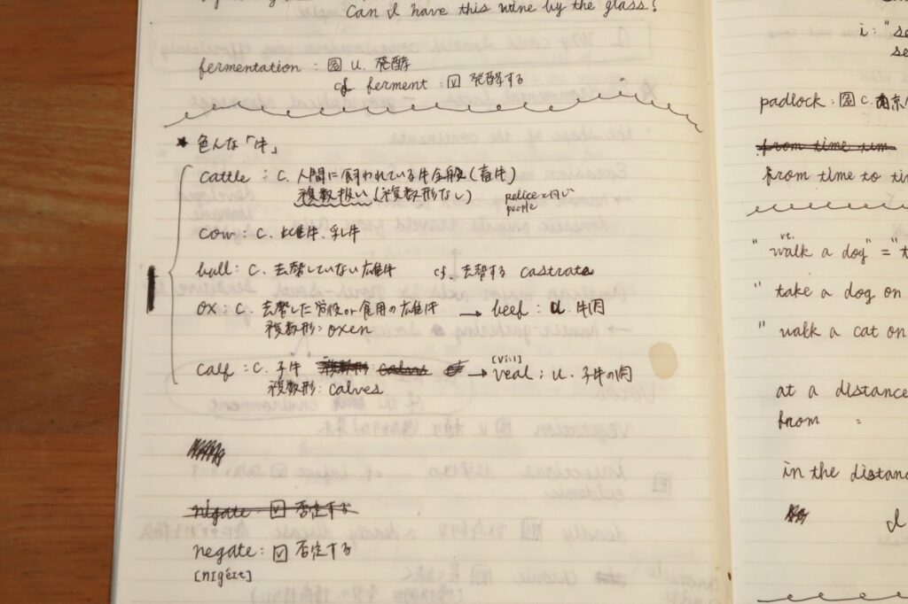 英語ノートの例 単語
