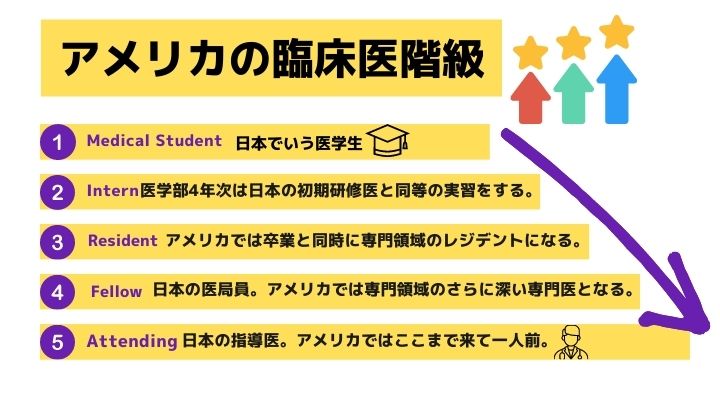 アメリカ臨床階級